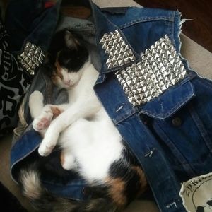 Meet your Posher, Edward